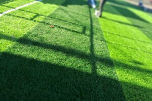 campo-09-rotated (1)